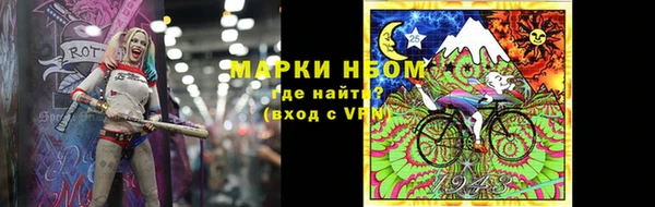 стафф Алзамай