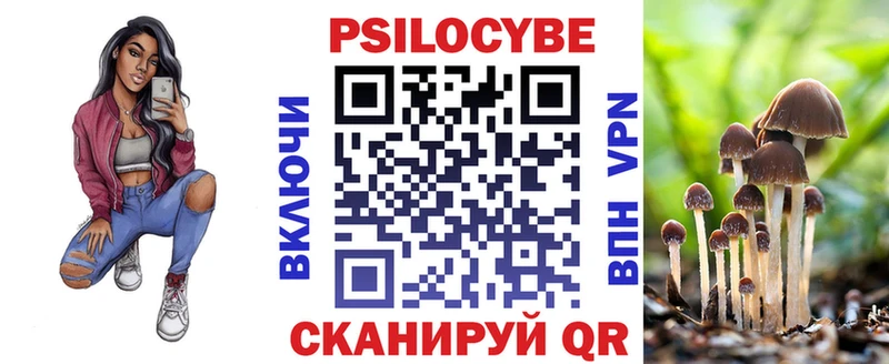 OMG ссылка  Строитель  Псилоцибиновые грибы GOLDEN TEACHER 
