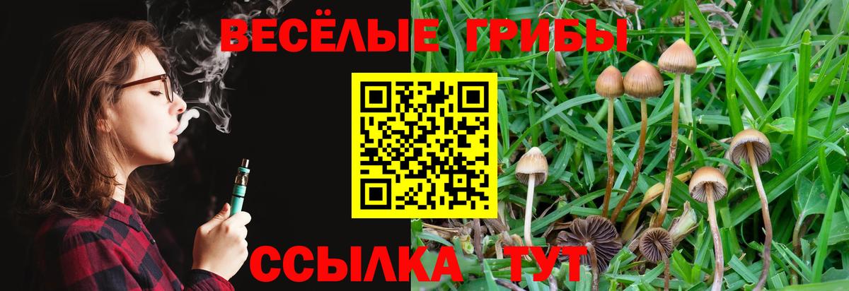 Псилоцибиновые грибы GOLDEN TEACHER Строитель