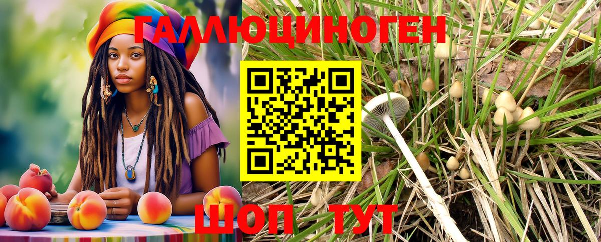 Псилоцибиновые грибы Psilocybe  Псилоцибиновые грибы ЛСД  Строитель  Вход с VPN 